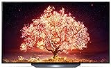 LG OLED55B19LA TV 139 cm (55 Zoll) OLED Fernseher (4K Cinema HDR, 120 Hz, Smart TV) [Modelljahr 2021]
