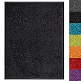 Schmutzfangmatte Use&Wash - Türmatte Sauberlaufmatte Fußabtreter - Fussmatte Teppich - für Flur Eingang Eingangsbereich - rutschfest & waschbar - in vielen Farben (60 x 90 cm, Schwarz 1000)