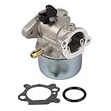 OxoxO 799868 Vergaser mit Dichtung und O-Ring, Ersatz für Briggs & Stratton 498170 498254 497347 497314 Verg