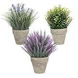 Künstliche Pflanzen, künstliches Mini-Grünpflanzen Lavendel 3 Stück, zum Dekorieren von Schreibtischen, Schlafzimmern, Küchen, Schreibtischen, Gartendekorationen und künstlichen Pflanzen in R