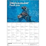 Delphinzauber Planer DIN A2 aufgeklappt - Kalender für 2022 Delfin Delphin - Seelenzaub