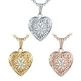 MicLee Damen Halskette Edelstahl Foto Medaillon Photo Bilder Amulett Weiß Zirkonia Silber/Rosegold/Gold Anhänger Herzkette mit Geschenkbox Grußkarte Super Geschenk für Mutter T
