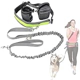 Cadrim Hunde Joggingleine mit verstellbarem Hüftgurt Bungee Leine zum handfreien Laufen/Fahrrad Fahren (Grau)