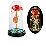 Die Schöne Und Das Biest Rose In Glaskuppel Mit Warmweißen LED-Lichtern Ewiges Kristallrosenblumengeschenk Verzaubertes Geschenk Für Immer Zum Geburtstag Für Sie Zum Jubiläum Valentinstag H