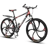 L&WB 26 Zoll Mountainbike, Geeignet Ab 165 cm, Scheibenbremse, 27 Gang-Schaltung, Vollfederung, Jungen-Fahrrad & Herren-Fahrrad,R