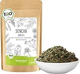 Grüner Sencha Tee BIO 250 g I lose und geschnitten I aromatischer bio Sencha Grüntee I 100% natürlich I b