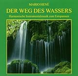 Der Weg des W