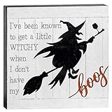 Blossom Bucket Dekoschild A Little Witchy 216-30190
