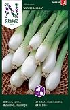 Frühlingszwiebeln Samen White Lisbon - Nelson Garden Saatgut für Gemüse - Zwiebel Samen Lauchzwiebeln (450 Stück) (Einzelpackung)