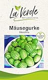 Mäusegurke Gurk