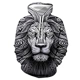 routinfly Herren Hoodies Pullover Grafik 3D-Druck Löwe Pullover Sweatshirts mit großen Taschen - Unisex Herbst Winter Sweater Bluse Top