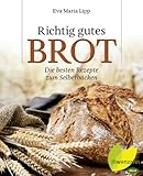 Richtig gutes Brot: Die besten Rezepte zum Selberback