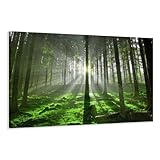 Visario Leinwandbilder 5130 Bild auf Leinwand Wald, 120 x 80