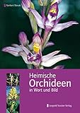 Heimische Orchideen in Wort und B