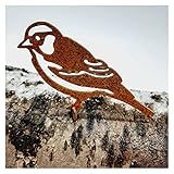 Metall Vogel Silhouetten Garten Zaun Dekor Woodpecker Stahl Land Garten Yard Kunst Gartenarbeitendekoration Metall Vogel (Color : B)