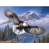 ZMGYA Colorful 1000 Piece Puzzles for Adultseagle-300Wooden Jigsaw Puzzles Artwork Gifts for Adults Teens F