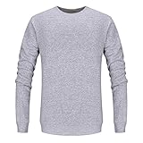 QWERD Herren Sweatshirt Crew Neck Langarm Basic Lightweight Raglan Sweatshirt Pullover Herren Baseball Sweatshirt Sweater Pulli ohne Kapuze Langarmshirt Rundhalsausschnitt Classic Fitness Basic Sp