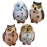 4Pcs Mini Eulen Miniatur Eulen Garten Ornamente Harz Figuren Landschaft Puppe Mikro Dekoration für Heimwerker Dek