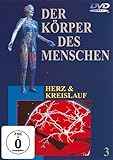 Der Körper des Menschen 3 - H