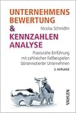 Unternehmensbewertung & Kennzahlenanalyse: Praxisnahe Einführung mit zahlreichen Fallbeispielen börsennotierter U
