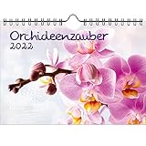 Orchideenzauber Doppelpack - DIN A5 Wandkalender für 2022 Orchideen und Blüten - Seelenzaub