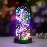 shirylzee Schönheit und das Biest Rose Kit, Ewige Rose im Glas mit LED-Licht Gold Rose Geschenk in Glaskuppel für Hauptdekor-Geburtstags Hochzeits Valentinstag (Bunt)