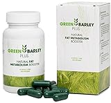 ✅GREEN BARLEY PLUS - Natural Fat Metabolism Booster mit grüner Gerste, Food Supplement (60 Kapseln)