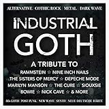 Industrial Goth : Alternative, Gothic Rock, Metal, Dark Wave, 80s Goth, Post Punk, New Wave, Synth, Neue Deutsche H