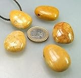 Panotophia gelber Jaspis Trommelstein Anhänger gebohrt mit Band Glücksbring