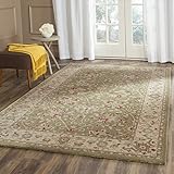 Safavieh Antiquity Collection AT21D Handmade Traditional Oriental Premium Wool Area Rug, 8'3' x 11', Sag