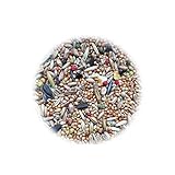 Lyra Pet® 25 kg Nymphensittichfutter Großsittichfutter Ziervögel Vogelfutter Großsittiche Halsbandsittich Sittiche Sittichfutter Vög