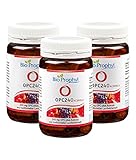 BioProphyl® OPC240 Sechs-Monatspaket - Das Original - 240mg reines OPC aus 600mg Traubenkernextrakt mit Vitamin C aus Acerola - hochdosiert, zertifiziert - ohne Magnesiumstearat - 180 pflanzl. Kap