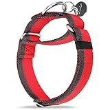 Dazzber Martingal Halsbänder für Mittel/Große Hunde 4cm Breites, Extra Starkes, Verstellbar, Hohe Farbechtheit- Nylon 2 Farbe Gestreift Weit Hundehalsband (Groß 4cm Breit, Rot & Grau)