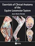 Essentials of Clinical Anatomy of the Equine Locomotor System (English Edition)