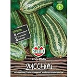 83617 Sperli Premium Zuchini Samen Striato Italia | Früh | Lange Ernte | Gestreifte Zucchini | Zuchini Saatgut | Zucchini G