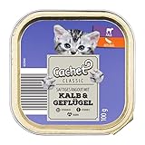 Cachet Katzenfutter safitges Ragout mit Kalb & Geflügel | 100g pro Schale (24er Pack) | Nassfutter für heranwachsende Katzen JUNIOR