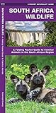 South Africa Wildlife: A Folding Pocket Guide to Familiar Animals (Pocket Naturalist Guide)