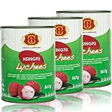 Spring Happiness - 3er Pack Premium Litschis in 567 g Dose - Original Lychee Litchi traditionell eingeleg