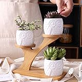 Cestbon Sukkulenten-Übertopf Aus Keramik Für Den Garten, Mini-Eule Blumentöpfe Mit Bambus-Ständer,Weiß