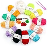12 PCS Buntes Häkelgarn Wolle Zum Stricken Wolle zum Häkeln für Anfänger und Kinder, Anfänger Set Handstrickgarn für Häkeln und Kunsthandwerk 12 Farben (120g) mit 2 PCS Häk
