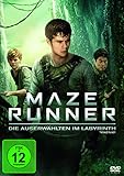 Maze Runner - Die Auserwählten im Labyrinth [DVD]