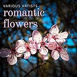 Romantic Flow