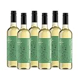 Amazon-Marke - Compass Road Weißwein Chenin Blanc, Südafrika (6x0,75L)