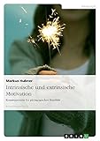 Intrinsische und extrinsische Motivation. Konsequenzen für pädagogisches H