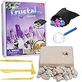 JustPe Natur Geographischen Mega Edelstein Dig Kit Dig Up 5 Echt Edelsteine mit Ausgrabung Kit Enthält Perle Fossil Holm Erz STAMM Wissenschaft Archäologie Pädagogisches Spielzeug fü