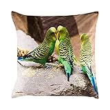 Unbekannt Sound-Kissenhülle Wellensittich, Kissenbezug, Soundbox im Inneren, Fotodruck, Rückseite weiß, Waschbar bei 30 °C, 100% Polyester, 40 x 40
