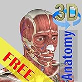 3D Anatomy F