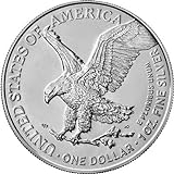 Silbermünze Neu!!! 1 Unze American Eagle Typ2 2021 incl. Münzkapsel, Differenzbesteuert nach § 25a UstG