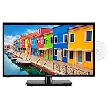 MEDION E12443 59,9 cm (23,6 Zoll) Full HD Fernseher (Triple Tuner, DVB-T2 HD, integrierter DVD-Player, CI+, Mediaplayer, 12V KFZ Car-Adapter)