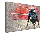 Declina Bild Tiere, Bild auf Leinwand, Wanddekoration, Wohnzimmerdekoration, Dekoration, Malerei Stier in der Arene 50 x 30 cm, Leinen, Mehrfarbig, 100x60